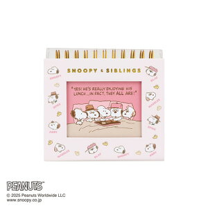 iJoV t[P[XAo Xk[s[ x[W A-FTPC-209-2