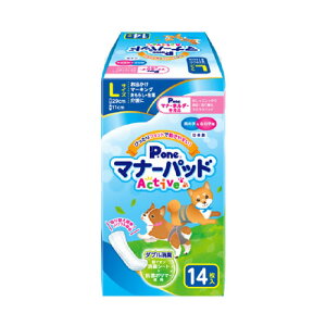 }i[pbhActive L 14 PMP-747