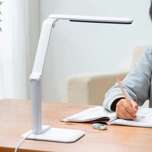 �A�C���X�I�[���} LED�f�X�N���C�g 302�^�C�v LDL-302-W �z���C�g