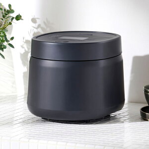 �A�C���X�I�[���} �W���[���ъ� 5.5�� RC-MSA50-HA �A�b�V��