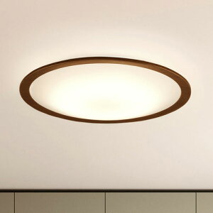 �A�C���X�I�[���} LED�V�[�����O���C�g 8�� �������F �E�b�h�t���[�� CEA8DL-5.0QWFM