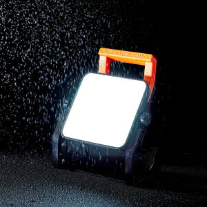 �A�C���X�I�[���} �u���^LED������ AC�� 2000lm LWT-2000BAH2