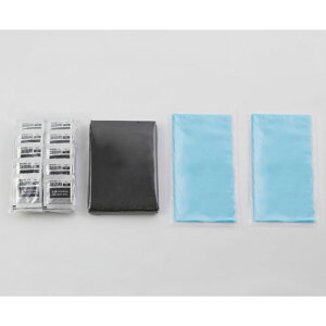 �A�C���X�I�[���} ���p�g�C���Z�b�g 10g 50�� BTS10-50