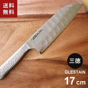 z}Ȋw OXe M^Cv O 17cm 817TM {ybsOΏہʔz