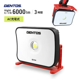 ジェントス GENTOS Ganz ガンツ 投光器シリーズ GZ-314