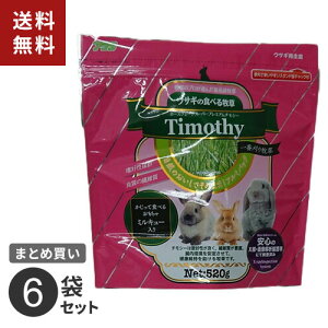 A^ ̐Hׂq `V[ Ԋ   GT q Nێ 520g AJ 6܃Zbg