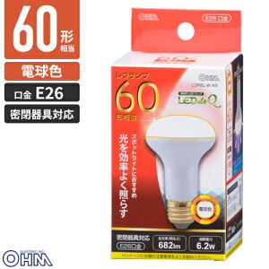 �I�[���d�@ LED�d�� ���t�����v�` 60W�`���� E26 �d���F �����Ή� LDR6L-W A9