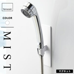 R }OlbgoX[V[tbN ~Xg MIST zCg 4233