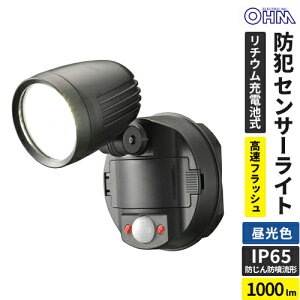 I[d@ hƃZT[Cg 1`E[dr 1000[ LS-B100Y1