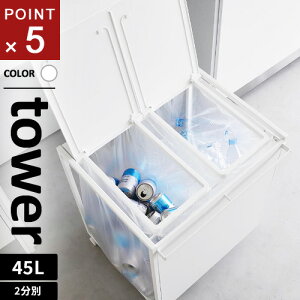 R WtډBʃ_XgS ^[ tower 45L 2 zCg 1820