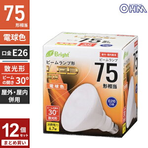 �܂Ƃߔ��� �I�[���d�@ LED�d�� �r�[�������v�` E26 75�`���� 6.7W �d���F �U���` �����E���O���p E-Bright LDR7L-W20/75W 12�Z�b�g