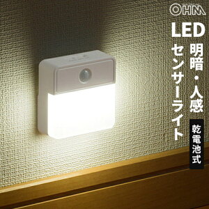 �I�[���d�@ LED�Z���T�[�i�C�g���C�g ����+�l�� �����p 40lm �d�r�� NIT-BLA6JSQ-W