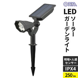 I[d@ \[[K[fCg ÁElZT[ 250[ LS-B250JGS-S