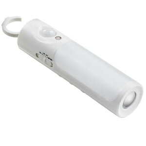 ELPA LEDZT[tCg PM-L256