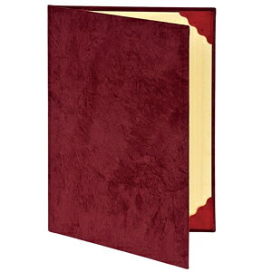 iJoV ؏t@C B5 GW XG[h FSS-B5R ܏   i  RN[