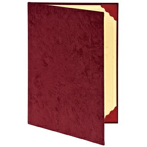 iJoV ؏t@C A4 GW XG[h FSS-A4R ܏   i  RN[