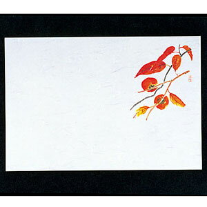 }C lGE 100 ` M30-211