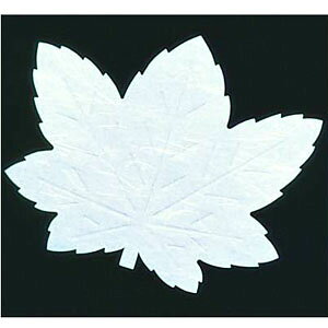 A[ebN ԍRۘa t^lG 200 ݂ LF-M