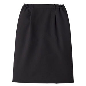 XJ[g ubN  17 BS-3847 T[H TybNXCXg Ɩp jtH[ 