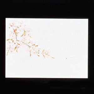 }R[ ԕۑN  100  QHS02