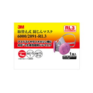 3M スリーエム 取り換え式 防じんマスク 6000/2091-RL3 6000RL3-DIY