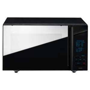 cCo[h TWINBIRD ~[KX tbgdqW DR-4259B