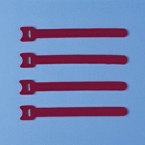 |Xg TTvC P[u^Ciʃt@Xi[EbhE4{j@CA-MF2RN