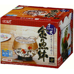 WFbNX GEX ̋Z   1740915