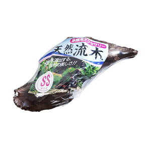 WFbNX GEX VR SS 743599