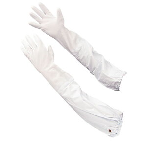 V[O[u V[ rJo[t  No.240 zCg L