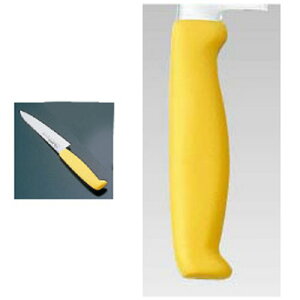 TKG-NEO lI J[ yeB 12cm CG[