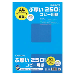 {m[g Ԍ250gsmRs[p A4 PPC250A4