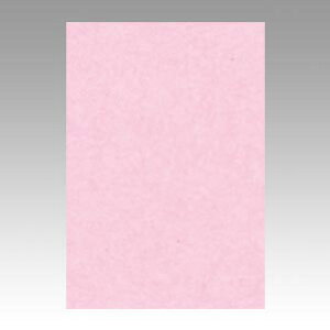 ^ Fp j[J[ 8  8NCR-218