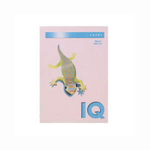 ɓ oCIgbvJ[PPC A4 t~S BT531 Rs[p