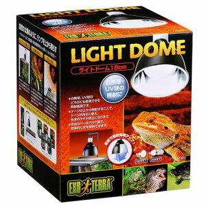 WFbNX GEX Cgh[ 18cm PT2057