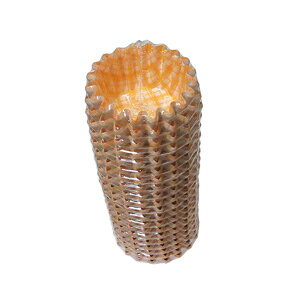 Jbv RRP[X ی^ 500 8[ 