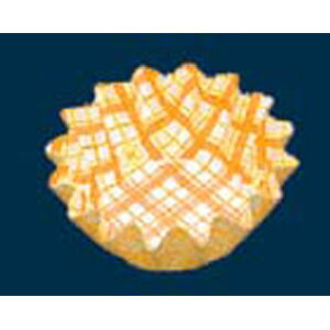 Jbv RRP[X ی^ 500 10[ 