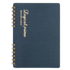 WJvC WOm[g A6 NW-A610B iJoV