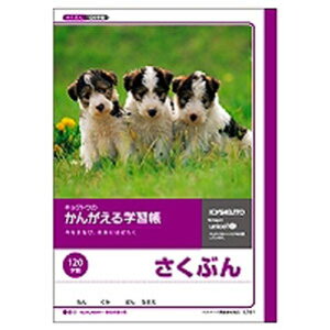 {m[g LNgE 񂪂wK Ԃ 120l L761