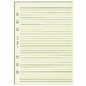 {\ VXe蒠 tB PCy[W 100 zCg A5-452