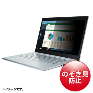 TTvC 13.3^ChΉvCoV[tB^[ CRT-PFNG133W