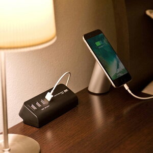 TTvC NvUSB[d USB4|[g ubN ACA-IP50BK