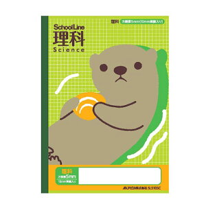 {m[g AsJ XN[C Ȗږ  SLS10SC