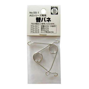 T{e փol2{ AG-1`9 NO.SS-1