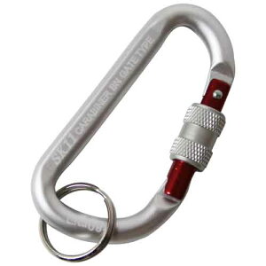 SK11 ���b�N�J���r�i BN SAC-880BN �V���o�[