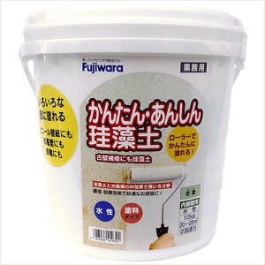 tWw [[œh! 񂽂E񂵂]y e10kg t