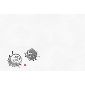 ヤマコー 尺2鮮魚懐石まっと さざえ(栄螺) 100枚 64860