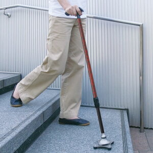 tWz[ 邪4|Cg XebL Lk o[YACbh WB3827