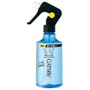 }_ GATSBY Mcr[ QEH[^[ 285ml