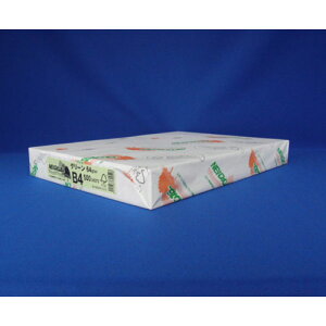 kzIB NEWt@CJ[ B4 500 O[